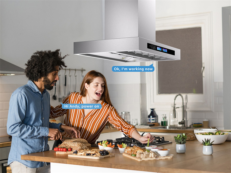 https://www.tgekitchen.com/36-inch-t-style-island-range-hood-stainless-steel-900-max-blower-cfm-ceiling-mounted-kitchen-exhaust-fan-product/